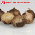 Super anti-oxidant Japanese fermented solo clove black garlic